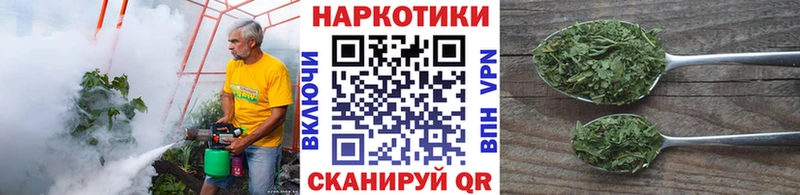 Хочу наркоту Томск Канабис АМФ Меф мяу мяу Псилоцибиновые грибы COCAIN