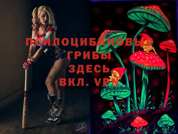 марки lsd Богданович
