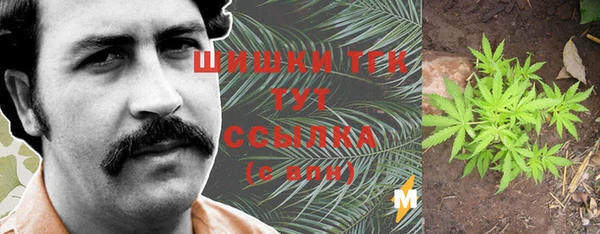 COCAINE Богородицк